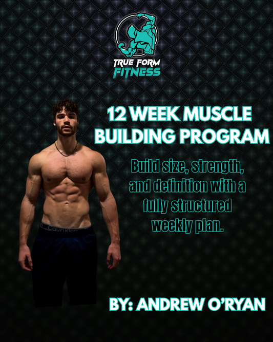 12 Week Muscle Building Program