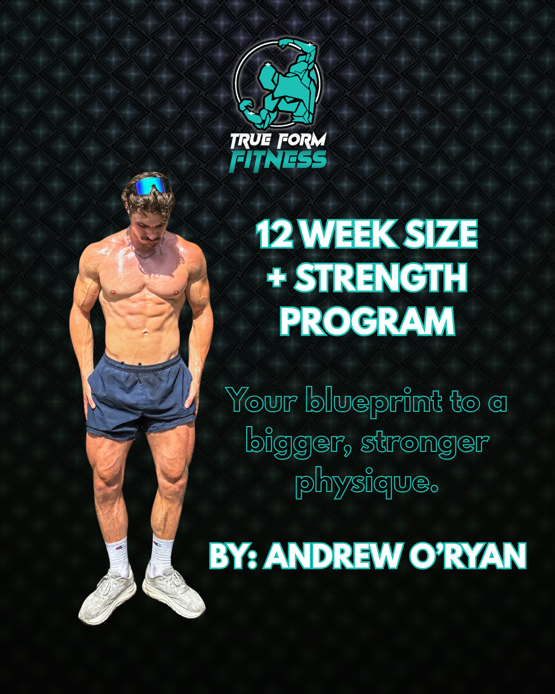 12 Week Size + Strength Program