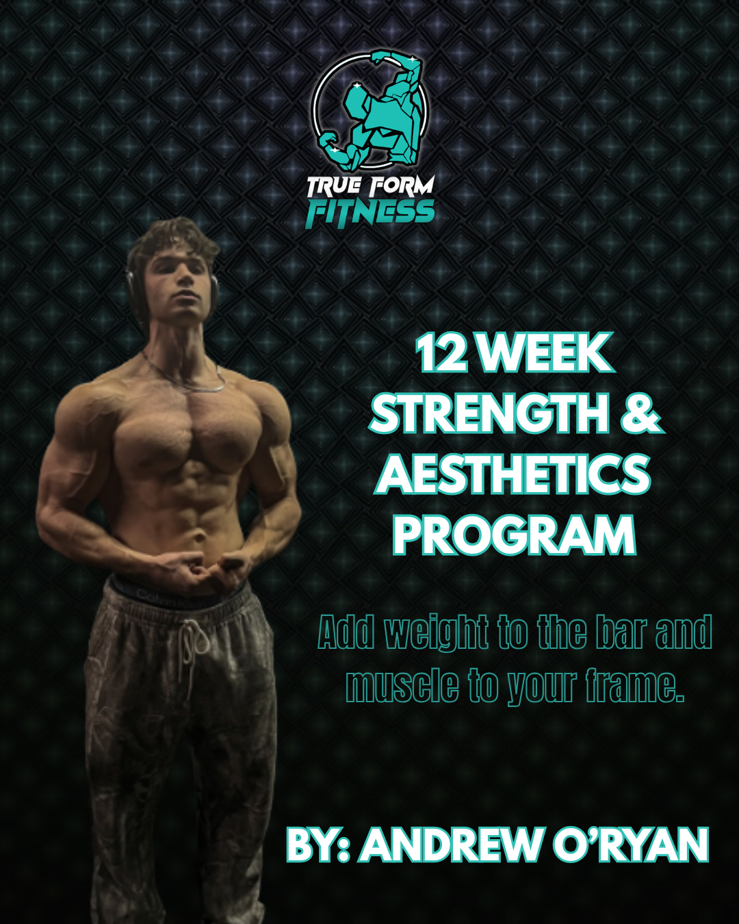 12 Week Strength & Aesthetics Program