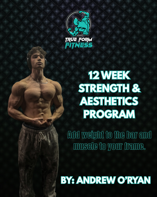 12 Week Strength & Aesthetics Program